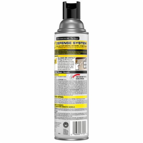Raid® Max Foaming Wasp & Hornet Killer Perspective: back