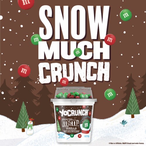 YoCrunch Low Fat Vanilla with M&Ms Yogurt Cup Perspective: back