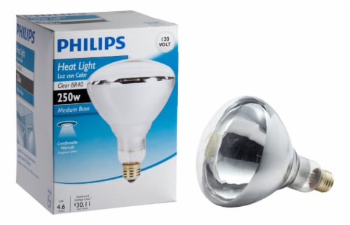Philips BR40 Heat Lamp 250-watt Incandescent 2700 K Light Bulb Perspective: back