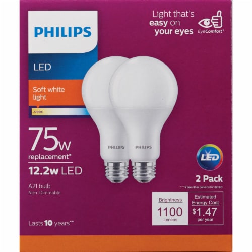 75w incandescent bulb store