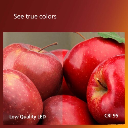 Philips 5.5-Watt (40-Watt) Medium Base A19 Vintage LED Light Bulb Perspective: back