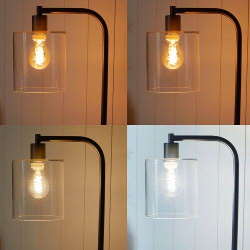 Philips 5.5-Watt (60-Watt) ST19 Vintage LED Dimmable Light Bulb - Soft White (2700K) Perspective: back