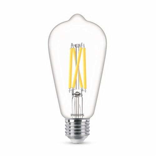 Philips Dusk to Dawn, 60Watt Replacement, Edison Vintage ST19 LED Light Bulb, Soft White Light Bulb Perspective: back