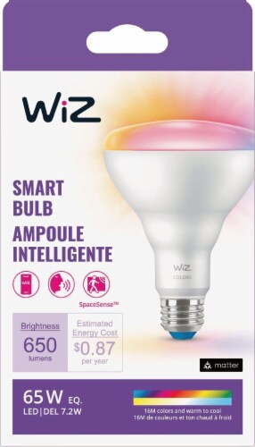 WIZ BR30 WI-FI Smart Light Bulb Perspective: back