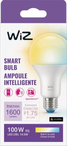 WIZ Tunable White A21 Wi-Fi Smart LED light Bulb Perspective: back