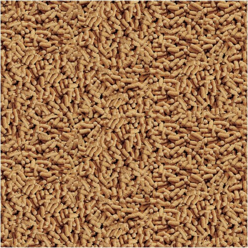 TetraPond Pond Sticks, Pond Fish Food, for Goldfish and Koi, 1.72 Pounds Perspective: back