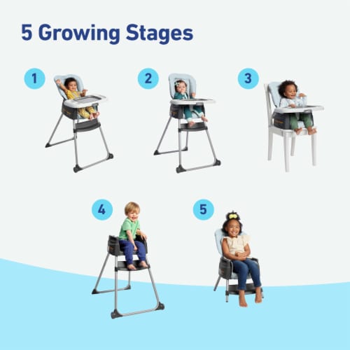 Graco® Made2Grow 5-in-1 Highchair, Hudson Perspective: back