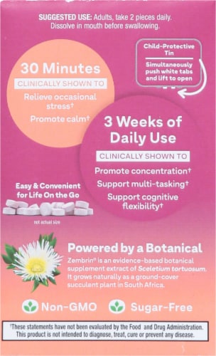 Natrol® Calm Quick Balance Mints™ Perspective: back