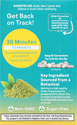 Natrol® Quick Balance Mints™ Energy Lemon Green Tea Perspective: back