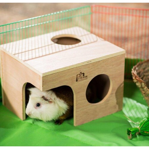Prevue Pet Products Guinea Pig Hut 1122 Case of 1 Pick n Save