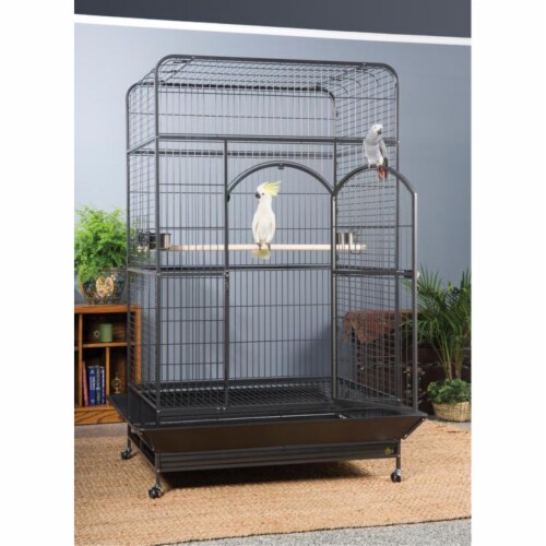 Prevue empire macaw cage store
