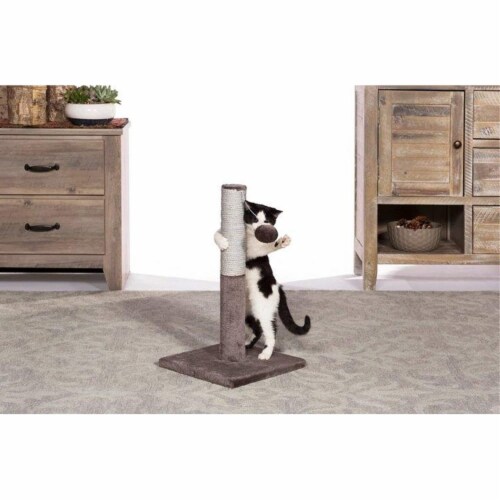 Prevue Pet Products Kitty Power Paws Play & Scratch Perspective: back