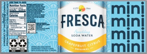 Fresca® Sparkling Soda Water Fridge Pack Cans Perspective: back