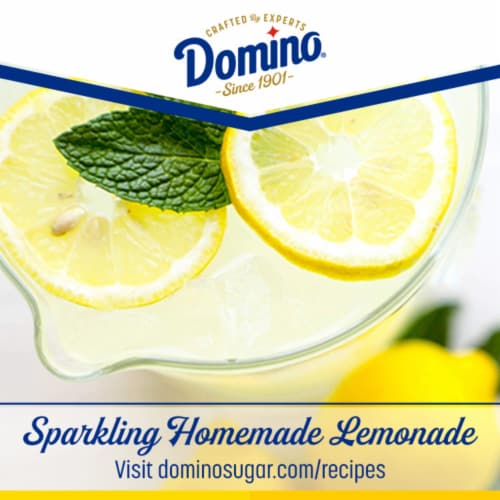 Domino Premium Pure Cane Granulated Sugar Canister Perspective: back