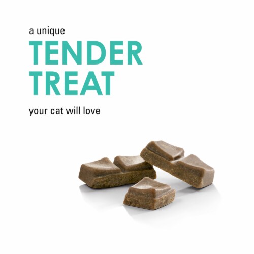 Purina Fancy Feast Savory Cravings Cat Treats Tuna Flavor Perspective: back