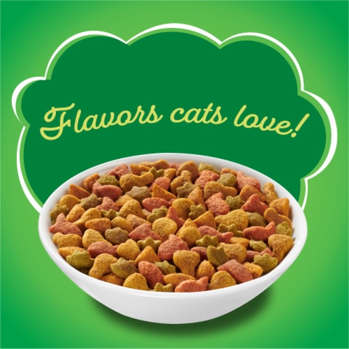 Purina Friskies Indoor Delights Adult Dry Cat Food Chicken, Salmon, Cheese & Garden Greens Flavors Perspective: back