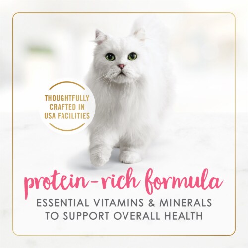 Purina Fancy Feast Grilled Wet Cat Food in Gravy Salmon & Shrimp Feast Perspective: back