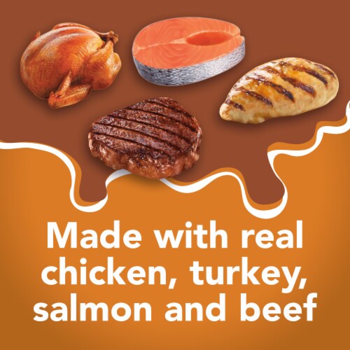 Purina Friskies Extra Gravy Chunky Wet Cat Food Variety Pack Chicken, Turkey, Salmon & Beef Perspective: back