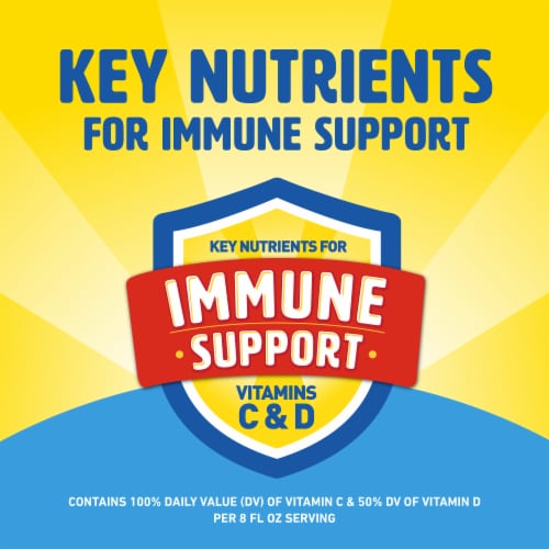Carnation Breakfast Essentials® Frosted Flakes® Nutrition Drink Perspective: back