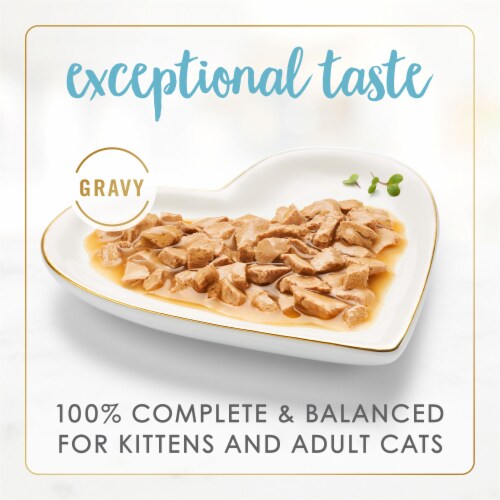 Purina Fancy Feast Gravy Lovers Wet Cat Food in Gravy Salmon & Sole Feast Perspective: back