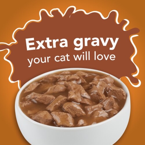 Purina Friskies Extra Gravy Chunky Wet Cat Food in Savory Gravy Chicken Perspective: back