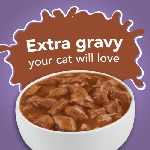 Purina Friskies Extra Gravy Chunky Wet Cat Food in Savory Gravy Turkey Perspective: back