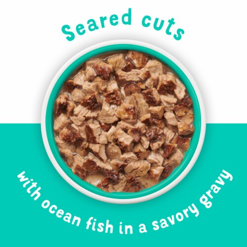 Purina Friskies Lil Grillers Wet Cat Food Complement in Gravy Seared Cuts with Ocean Fish Perspective: back