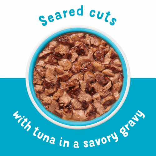 Purina Friskies Lil' Grillers Wet Cat Food Lickable Cat Treats Seared Cuts With Tuna in Gravy Perspective: back