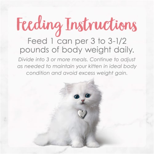 Purina Fancy Feast Natural Pate Wet Kitten Food, Gourmet Naturals Natural Wild Alaskan Salmon Recipe Perspective: back