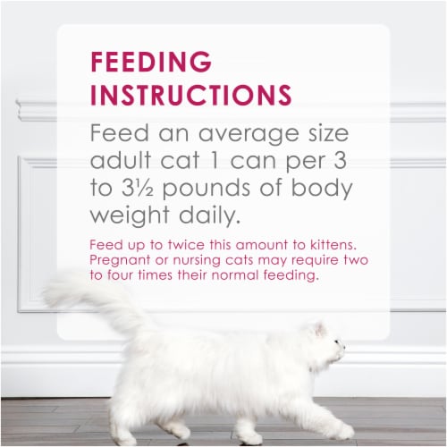 Purina Fancy Feast Classic Pate Chicken Feast Wet Cat Food Variety Pack Perspective: back