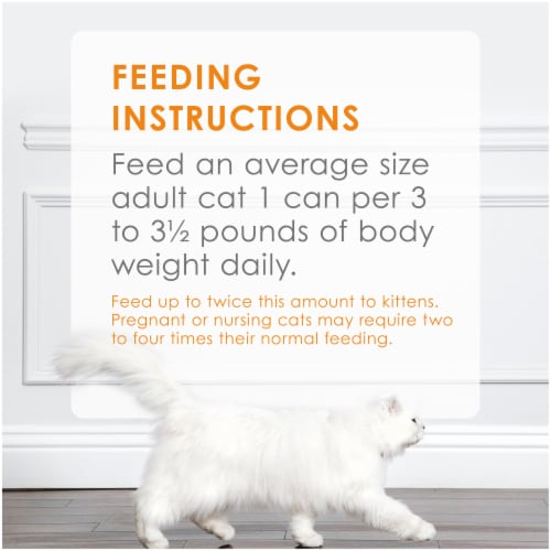 Purina Fancy Feast Classic Pate Poultry & Beef Wet Cat Food Variety Pack Perspective: back