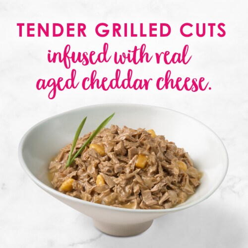 Purina® Fancy Feast® Delights Grilled Chicken & Cheddar Cheese Feast in Gravy Wet Cat Food Perspective: back