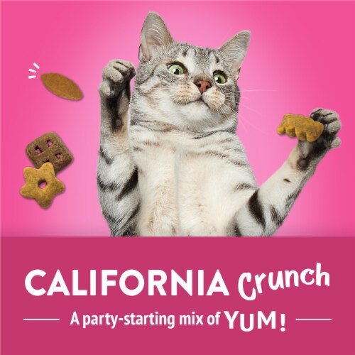 Purina Friskies Cat Treats, Party Mix California Crunch With Chicken Perspective: back