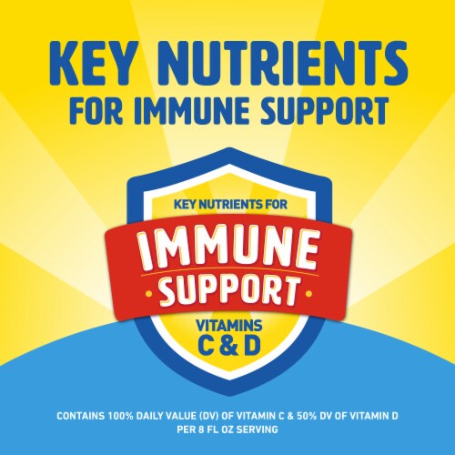 Carnation Breakfast Essentials® Fruit Loops™ Nutritional Drink Perspective: back