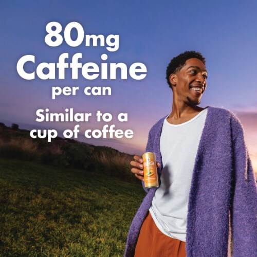 V8 Fusion Energy Nutrition Label Besto Blog