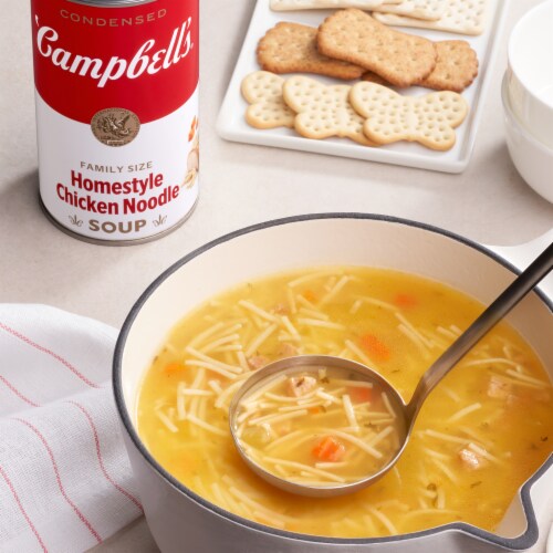 Campbell's® Condensed Homestyle Chicken Noodle Soup Family Size Perspective: back