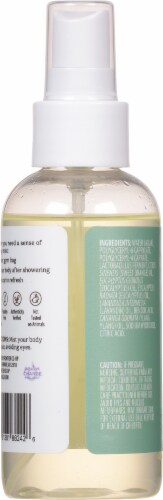 Aura Cacia® Eucalyptus Harvest Aromatherapy Mist 4 oz Bottle Perspective: back