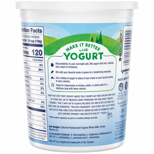 Stonyfield® Organic Probiotic Plain Whole Milk Yogurt Tub Perspective: back