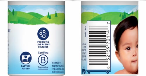 Stoneyfield® Organic Yo Baby® Banana and Strawberry Whole Milk Yogurt Perspective: back