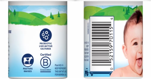 Stonyfield Organic® YoBaby® Apple & Blueberry Whole Milk Yogurt with Probiotics Perspective: back
