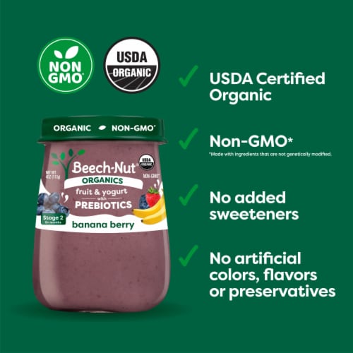 Beech-Nut Organics Stage 2 Banana Berry & Yogurt with Prebiotics Baby Food Jar Perspective: back