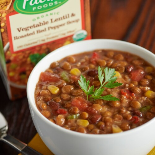 Pacific Foods™ Organic Vegetable Lentil & Roasted Red Pepper Soup Perspective: back