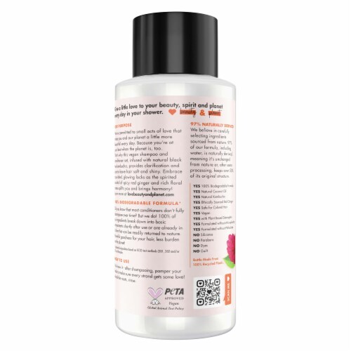 Love Beauty and Planet Silicone-Free Black Tea Kombucha & Red Ginger Nourishing Conditioner Perspective: back