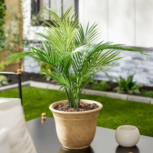 HC Companies Sierra 10 Inch Round Resin Flower Garden Planter Pot, Arizona Sand Perspective: back