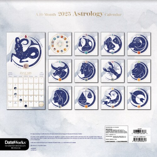 2025 Astrology Wall Calendar Perspective: back