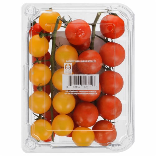 Sunset® Bombs® Squad™ Premium On-the-Vine Snacking Tomatoes Perspective: back