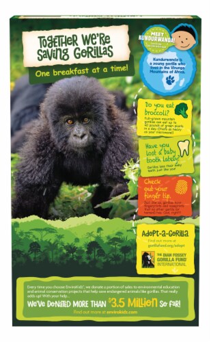 Nature's Path Envirokidz Gorilla Munch Organic Cereal Perspective: back