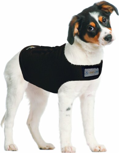 Zendog Medium Calming Compression Shirt Perspective: back