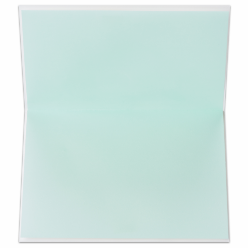 Papyrus (S27) Turtle Blank Card Perspective: back
