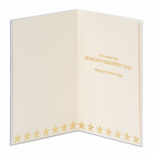 Papyrus (S4) Dad In Chief Father's Day Card Perspective: back